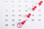 calendar w150px