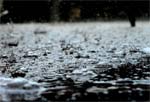 rain m